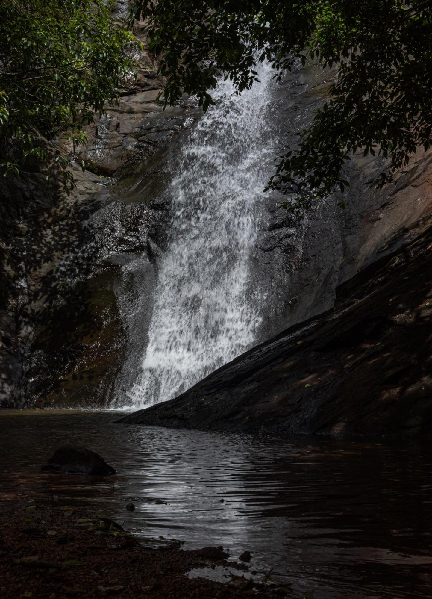 Kozhancheri Aruvikuzhy Waterfalls Villa מראה חיצוני תמונה